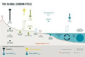 Current Carbon Cycle Climate Carbon Interactions In The Current Century 4c