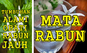 Episode sebelumnya #180 episode selanjutnya. Ramuan Herbal Mengobati Mata Rabun Jauh Terpercaya Apk Download For Android Latest Version 12 0 Com Obatherbalmengobatimatarabunjauhlengkap Obatherbal Kumpulanramuanherbal Mesotheliaomalawfirm