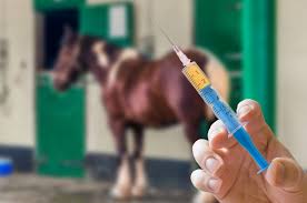 Doc's Products Inc. Presents How To Fix: The Needle-Shy Horse ...