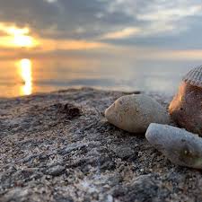 Ostsee Balticsea Rerik Sonnenuntergang Sunset Muschel Steine Sonne Meer Wolken Nofilter Weroamgermany Iphonexsmax Food Eggs Breakfast