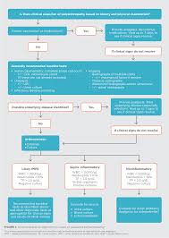 Canine Immune Mediated Polyarthritis