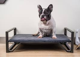 Il existe des canapés pour chien faits de différents matériaux. Canape Pour Chien Lit Sofa Pour Petit Et Moyen Chien Tiny Tail Animaloo