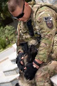 18 Joint Engineering Directorate Image: PICRYL