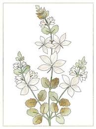 Pin By Renu On Flower In 2020 Giclee Print Tribal Art Prints