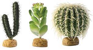 Jeden tag werden tausende neue, hochwertige bilder hinzugefügt. Exo Terra Terrarium Desert Ground Plant Finger Cactus Reptile Supplies Pet Supplies