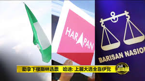 Image result for 来届大选会如何？