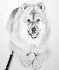 Most view drawing as a complex skill, but in the advanced times where we live, quoting any subject as too complex would be an injustice to the technology. Drawing Ideas Easy Animals Novocom Top