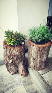 Baumstamm dekorieren garten dekoration … affordable baumstumpf garten dekorieren best of kreativ baumstamm deko garten meinung with baumstamm dekorieren garten. Hohler Baumstamm Bepflanzt Baumstamm Garten Pflanzen Baumstamm