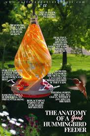 Maybe you would like to learn more about one of these? Feedinghummingbirds Blog Coffee Chlorophyll