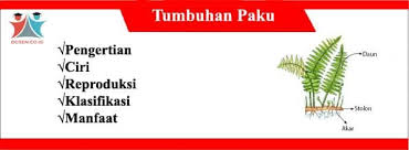 We did not find results for: Tumbuhan Paku Pengertian Ciri Reproduksi Dan Klasifikasi