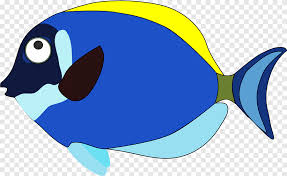 Pilih dari sumber gambar hd ikan nila png dan unduh dalam bentuk png. Kartun Ikan Ikan Mas Biru Mamalia Laut Png Pngegg