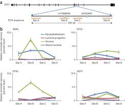 Model sandra » funny culturesiterip most popular model sandra 81.000 photos exclusive. Multiple Independent Variants At The Tert Locus Are Associated With Telomere Length And Risks Of Breast And Ovarian Cancer Nature Genetics