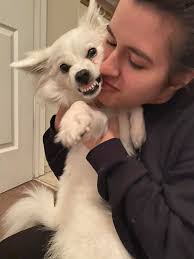 GNOWANGERUP CHILDREN c1953/54 Names for faces! Back Row: Margaret Varey,  Jeanette McDonald, unknown, unknown, Lorraine Webb. Second row: Kay  Stewart, Isobel Wellstead, Unknown, Philip Sadler, unknown. Front Ian  McDonald. Doggies Name? Photo