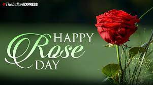 Most beautiful full hd rose background wallpapers collection for desktop, laptop, mobile phone, tablet and other devices. Happy Rose Day 2021 Wishes Images Quotes Status Hd Wallpapers Gif Pics Greetings Card Messages Photos