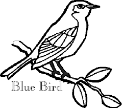 Pen and ink this is part of an ongoing coloring page/book project for adult/children. Printable Coloring Pages Blue Bird Coloring Page