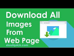 How To Download All Images In Google Image Search In 2020 Google Image Search Image Search Image