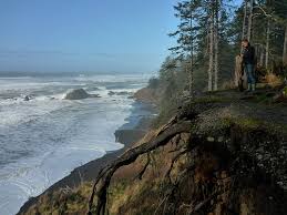 To loot sultry edward and jacob posters from the souvenir shop? Things To Do Near Beach 4 With Kids Forks Wa Trekaroo