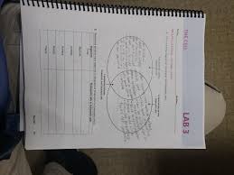 Jul 28, 2021 · learn venn diagram comparison bacteria and plant animal cell with free interactive flashcards. The Cell Lab 3 Name Section Pre Lab Questions The Chegg Com