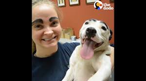 Shelter Dog Has The Best Eyebrows