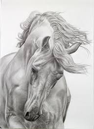 My Work Mustafa Aslan Equine Art Pencil Drawings Horse Drawings Horse Artwork