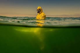The fight against earth's oceans is almost as old as humankind. Scary And Thought Photos We Can Ocean Film Festival Uk Facebook
