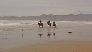 The jackson lake lodge and colter bay village corrals are expected to operate as normal beginning on june 15. Morro Strand State Beach Riding The Slo County Trails