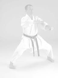 Maybe you would like to learn more about one of these? Shotokan Karate Kata 1 Pdf Free Download