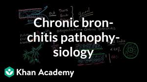 Chronic Bronchitis Pathophysiology Video Khan Academy