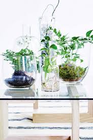 10 Unforgettable Ideas For Displaying Indoor Plants Plants Indoor Plants House Plants Indoor