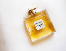 Image result for chanel gabrielle blog