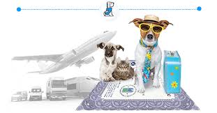Contact pets best via phone, email, postal mail, live chat or fax. American Service Pets Esa Letters Online Emotional Support Dog Emotional Support Animal Support Dog