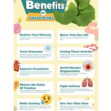 Ginkgo improves blood flow to the brain and may help ease a number of circulation problems, including vascular dementia and leg pain caused by clogged arteries. Tanakan 40mg 15 S 30 S 90 S Ginkgo Biloba 40mg Ready Stock