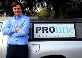 Los angeles sees a large number of pests in its urban environment. 3 Best Pest Control Companies In Pasadena Ca Expert Recommendations