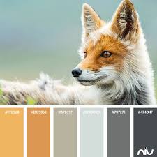 Fox Color Palette Colours That Go Together Chameleon Color Color Of Life