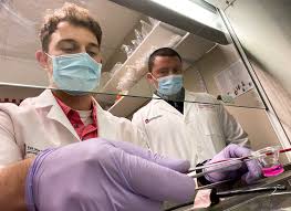 Paralysis or loss of muscle movement.you may become paralyzed on one side of your body, or lose control of certain muscles, such as those on one side of your face or one arm. Cell Therapy Aids Stroke Damaged Brain Repair Restores 90 Of Motor Function