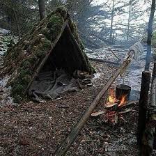 Basic Shelter Made From Raw Materials Found Just Around The Camp Love The Image Then Give It A Double Tap Check Out Bushcraft Survival Life Outdoor Survival