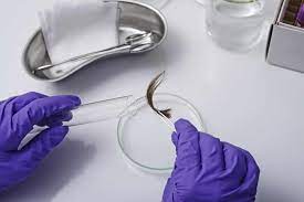How long does weed stay in my hair? Big Truckload Carriers Ask Fmcsa For Hair Drug Testing Freightwaves