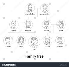 family tree chart genealogical tree family stock vector