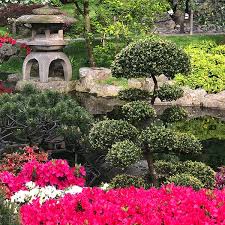 Plant options will depend upon whether the area is full or partial sun. How To Choose The Best Plants For A Rock Garden