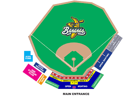 savannah bananas tickets