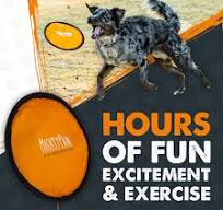 Durable Frisbee (2pk)