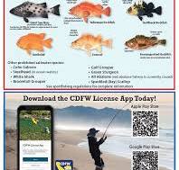 2025 CA Sport Fishing Regulations | SWYC Anglers
