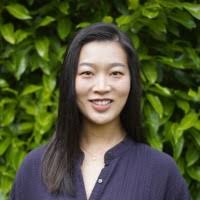 200+ "Lucy Cpa" profiles