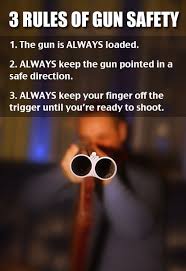 Pin On Guns