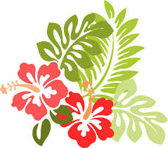 Hibisco Flor Folha Grafico Vetorial Gratis No Pixabay 80+ vectors, stock photos & psd files. hibisco flor folha grafico vetorial