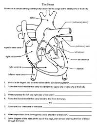 Circulatory System Biology Worksheet Teaching Biology Heart Diagram