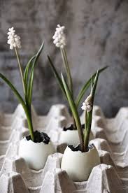 So be ready to welcome the new season and easter. Osterdekoration Ostern Ostereier Tischdeko Deko Pflanzen Grune Eier Blumen Liiv Blog