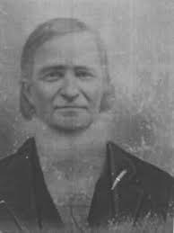 Josephus Beeson (1819-1901)