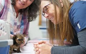 Dr. Oakley, Yukon Vet and her daughters