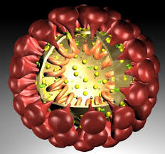 A coronavirus is a common virus that causes an infection in your nose, sinuses, or upper throat. Coronaviridae Wikipedia